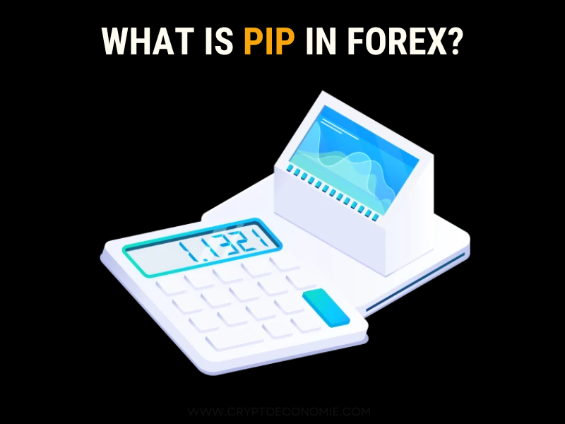 what is Pip in Forex- forex guide