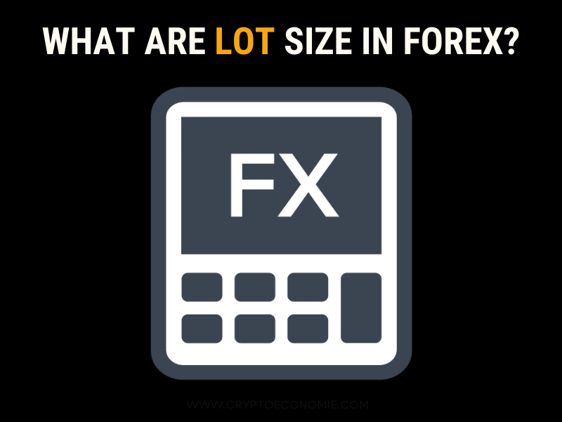 what are lots in forex-how much is each lot exactly?