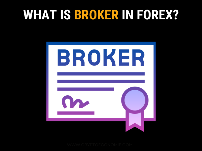 what is a broker in forex-tutorial for beginners