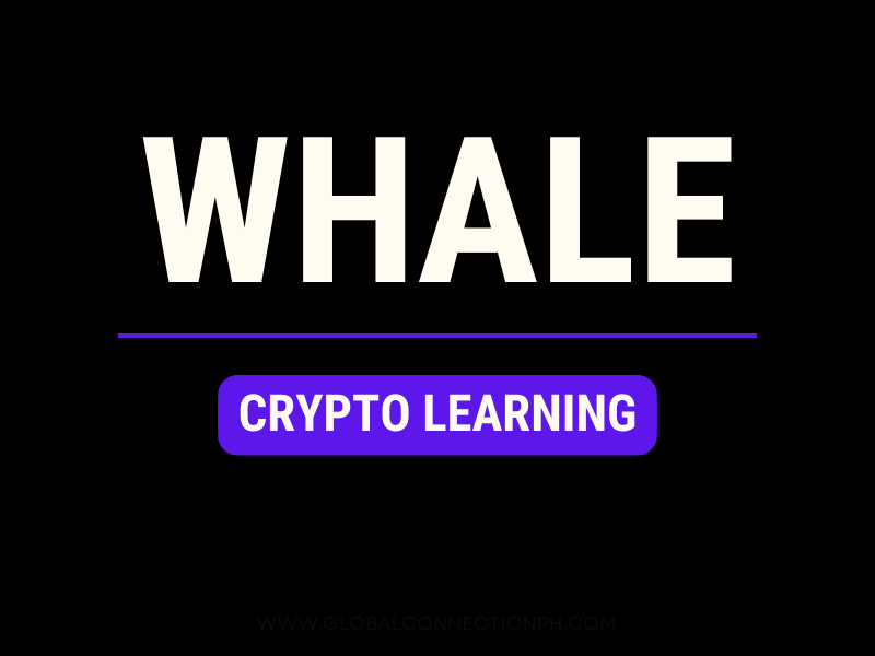 understanding crypto whales-beginners guide