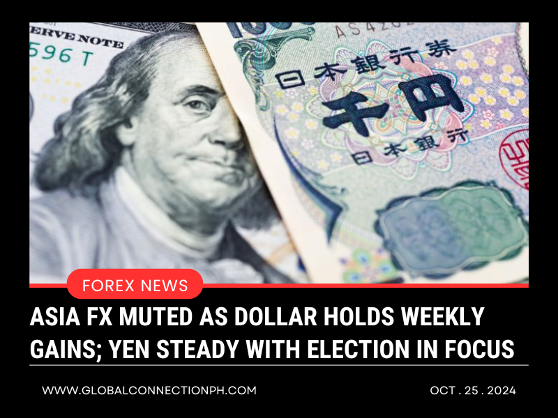 Asia FX muted as dollar holds weekly gains; yen steady with election in focus